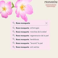 V7H3DE527E1D7BB649841ACCF001054B4BDR7731006P2