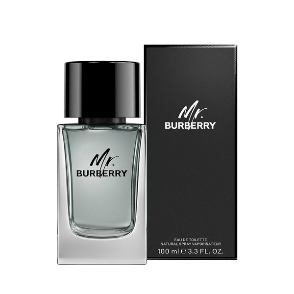 MR. BURBERRY edt vapo 100 ml